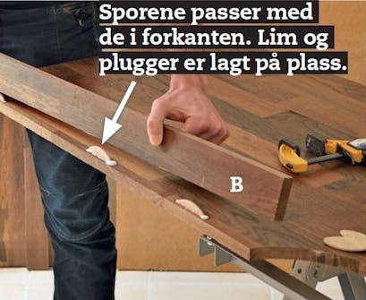Nye trappetrinn: Sett på forkanten Nye trappetrinn: Sett på forkanten